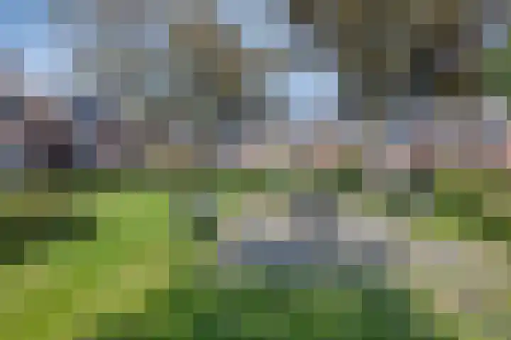 den Drink 28 Reusel thumbnail 27