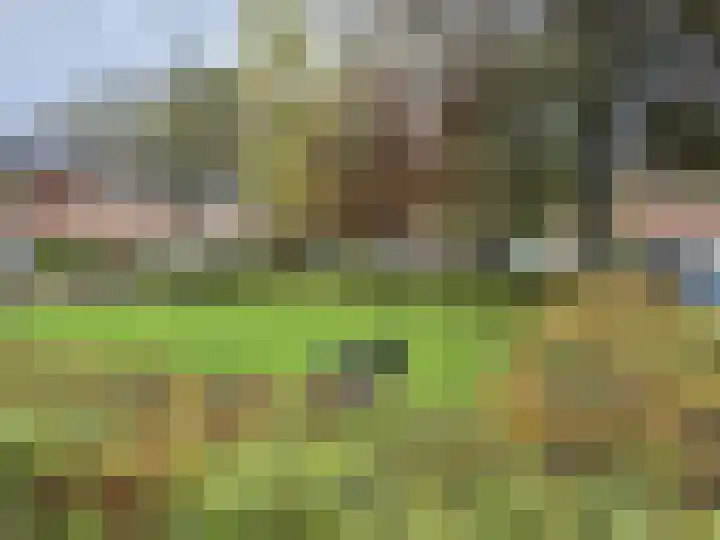 den Drink 6 Reusel foto 2