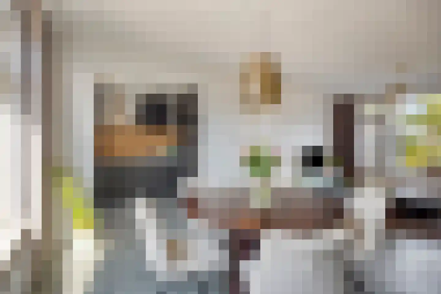 den Drink 7 Reusel thumbnail 10
