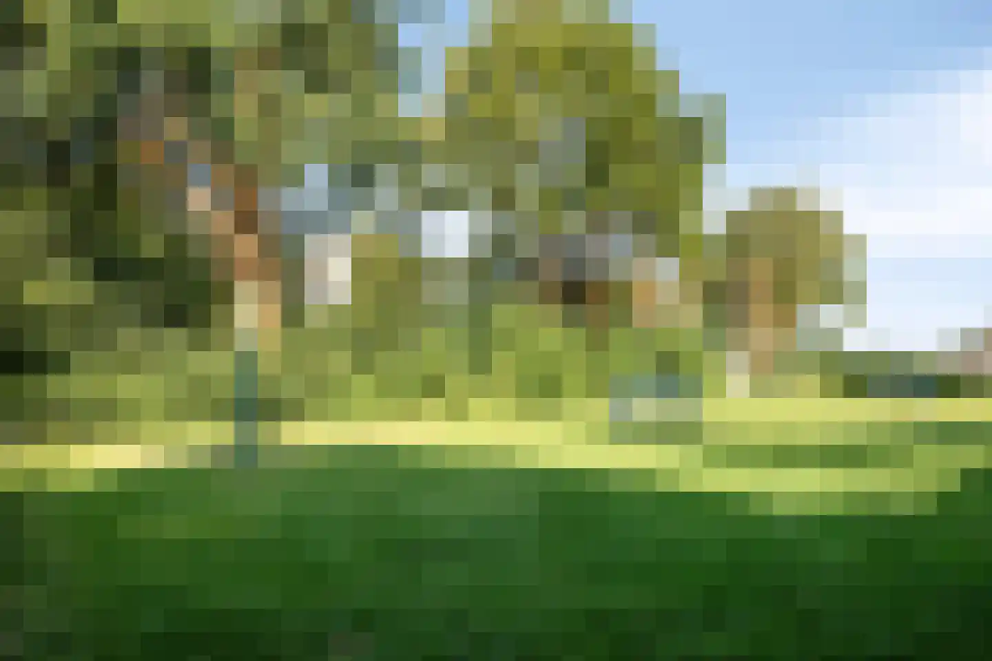 den Drink 7 Reusel thumbnail 39