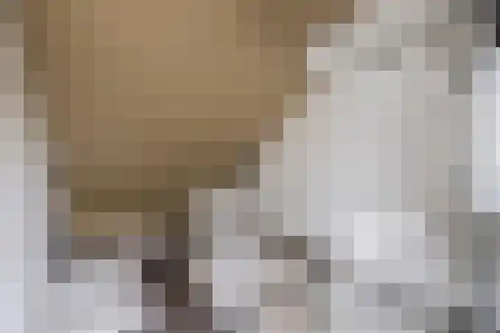 den Drink 8 Reusel thumbnail 24
