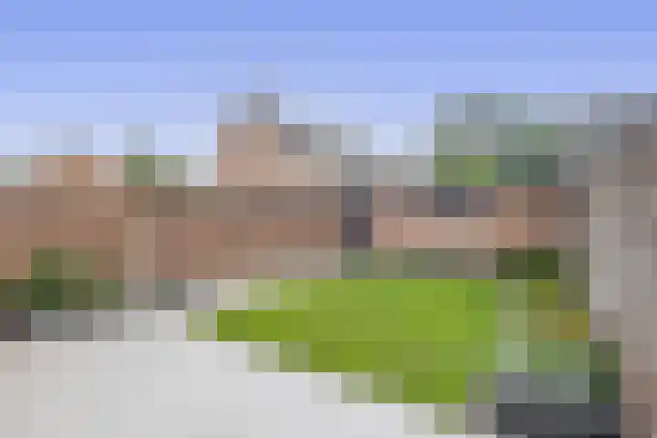 den Drink 8 Reusel thumbnail 27