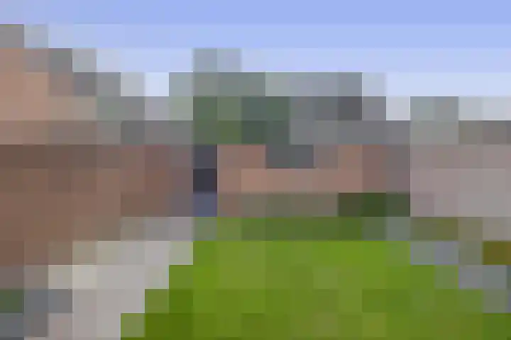 den Drink 8 Reusel thumbnail 30
