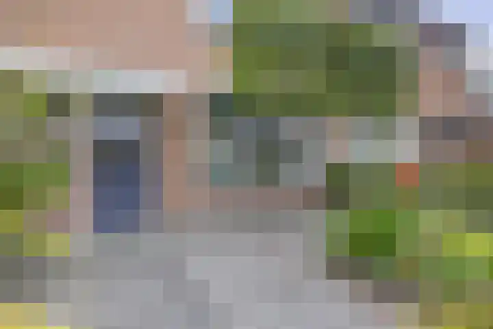 den Drink 8 Reusel thumbnail 34