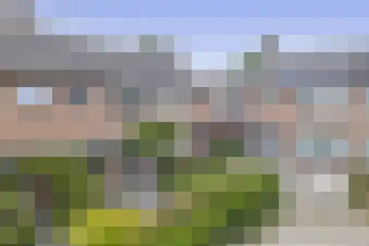 den Drink 8 Reusel thumbnail 35