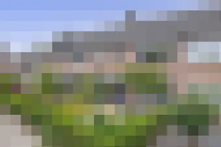 den Drink 8 Reusel thumbnail 36