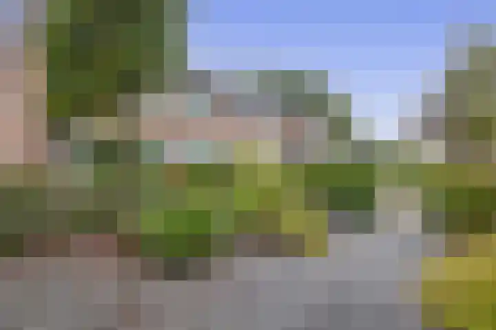 den Drink 8 Reusel thumbnail 37