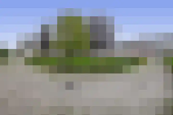 den Drink 8 Reusel thumbnail 38