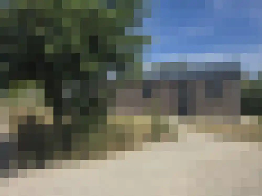 Den Drul 19 160 Linden thumbnail 17