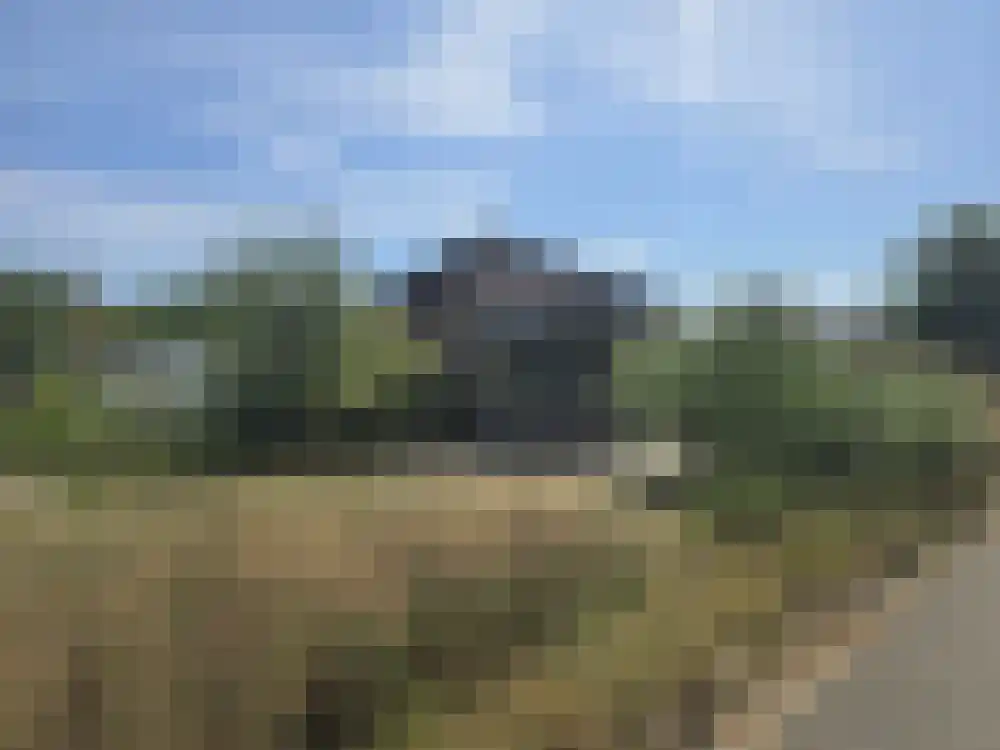 Den Drul 19 160 Linden thumbnail 20
