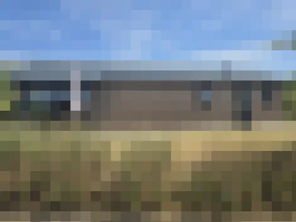 Den Drul 19 160 Linden thumbnail 21