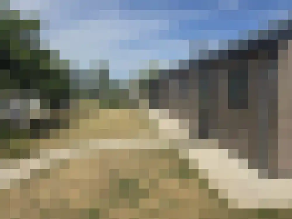 Den Drul 19 160 Linden thumbnail 23