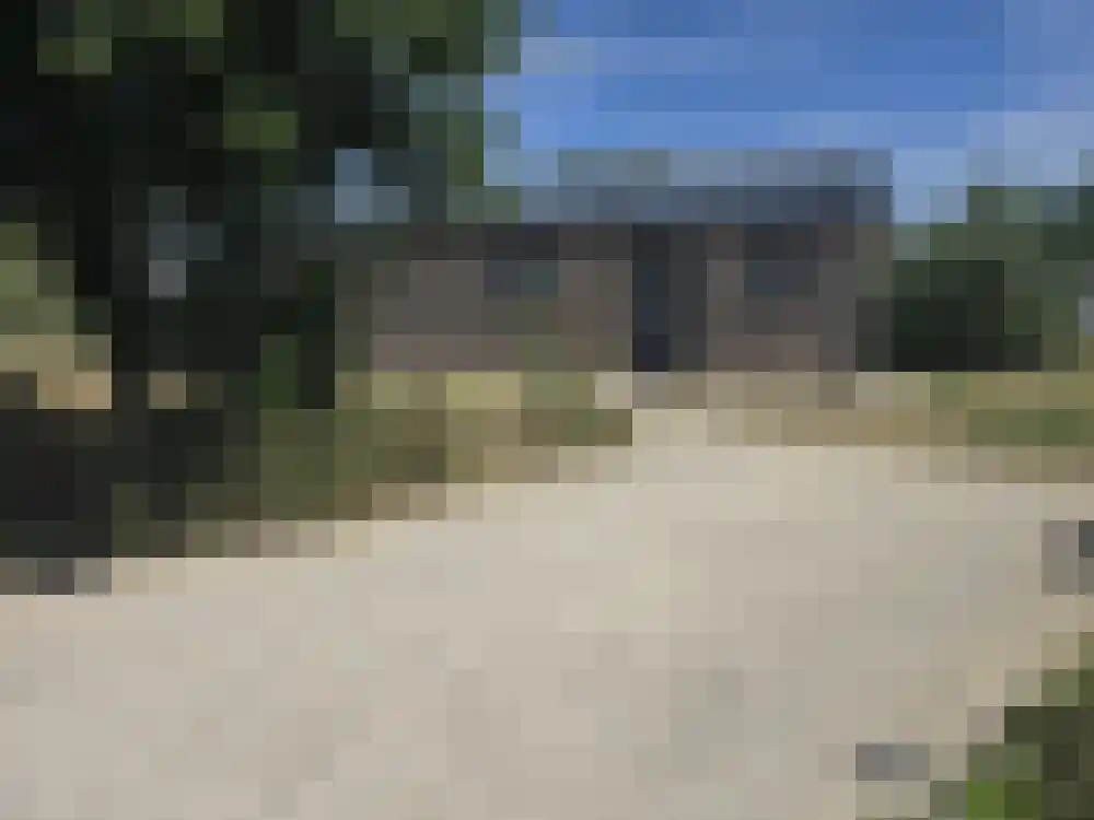 Den Drul 19 160 Linden thumbnail 24