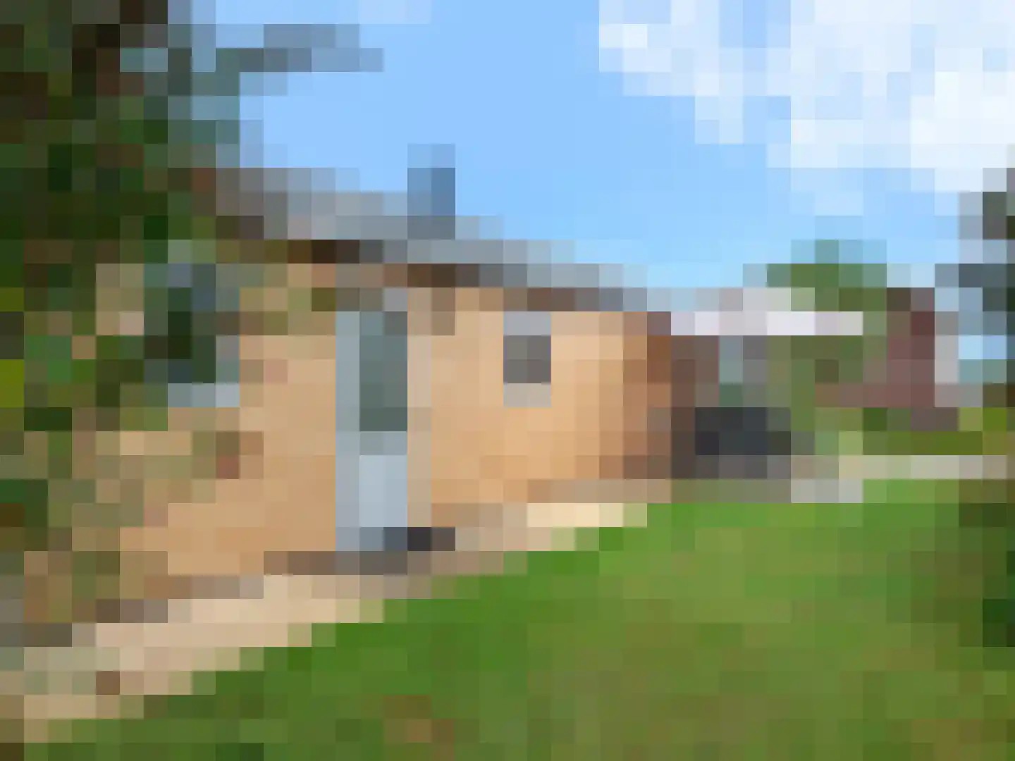 Den Drul 19 Linden thumbnail 17