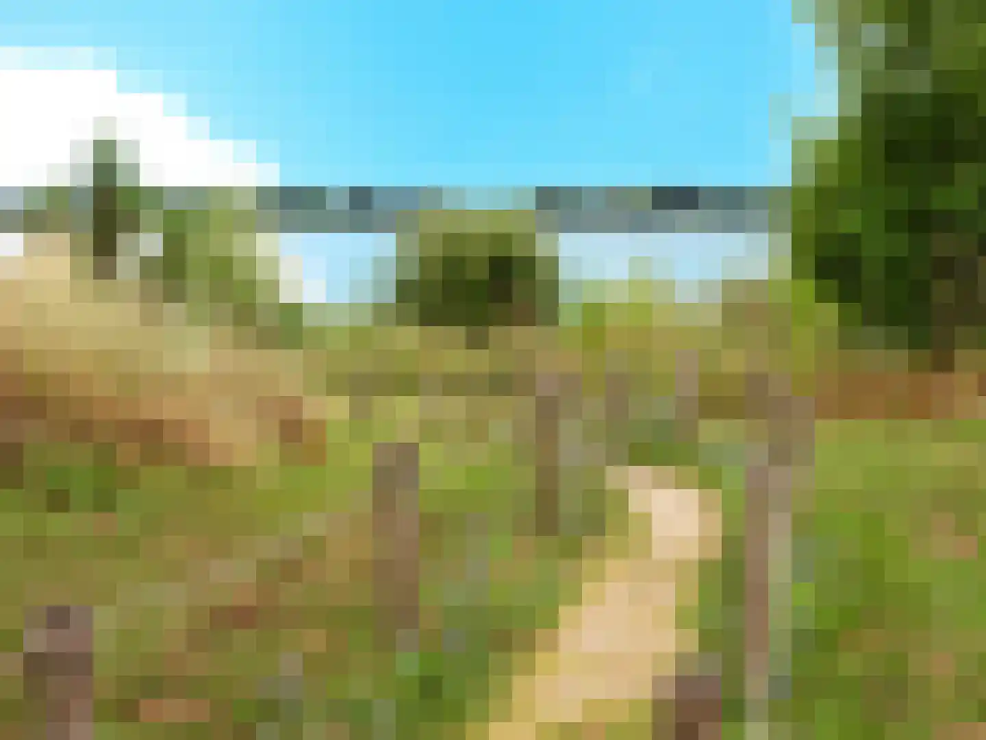 Den Drul 19 Linden thumbnail 20