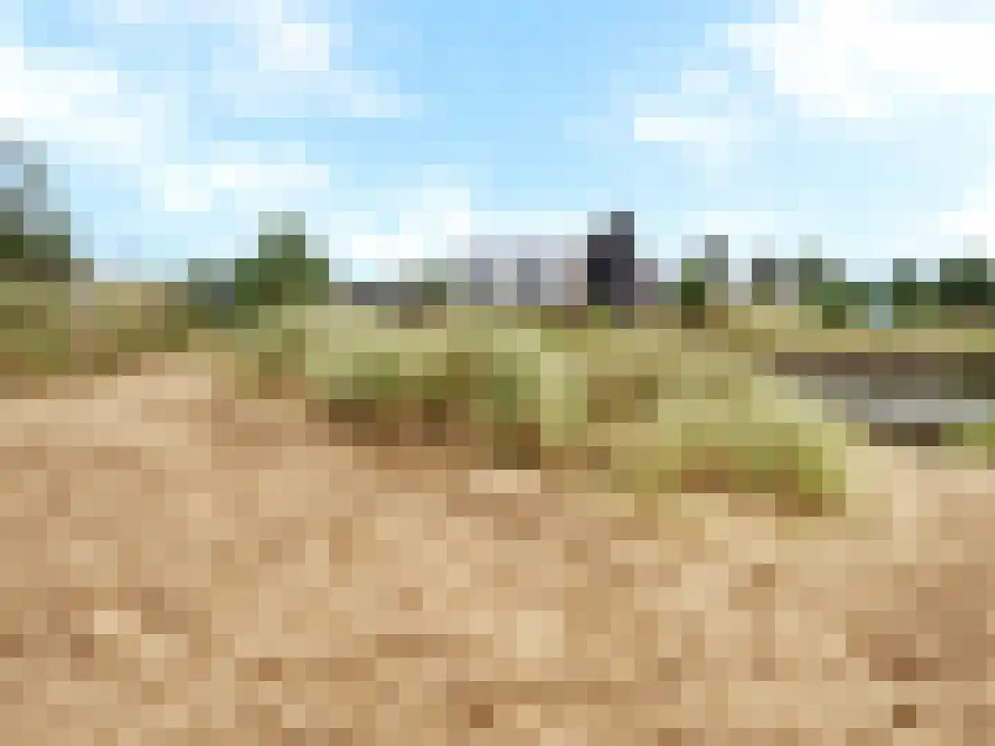 Den Drul 19 Linden thumbnail 22