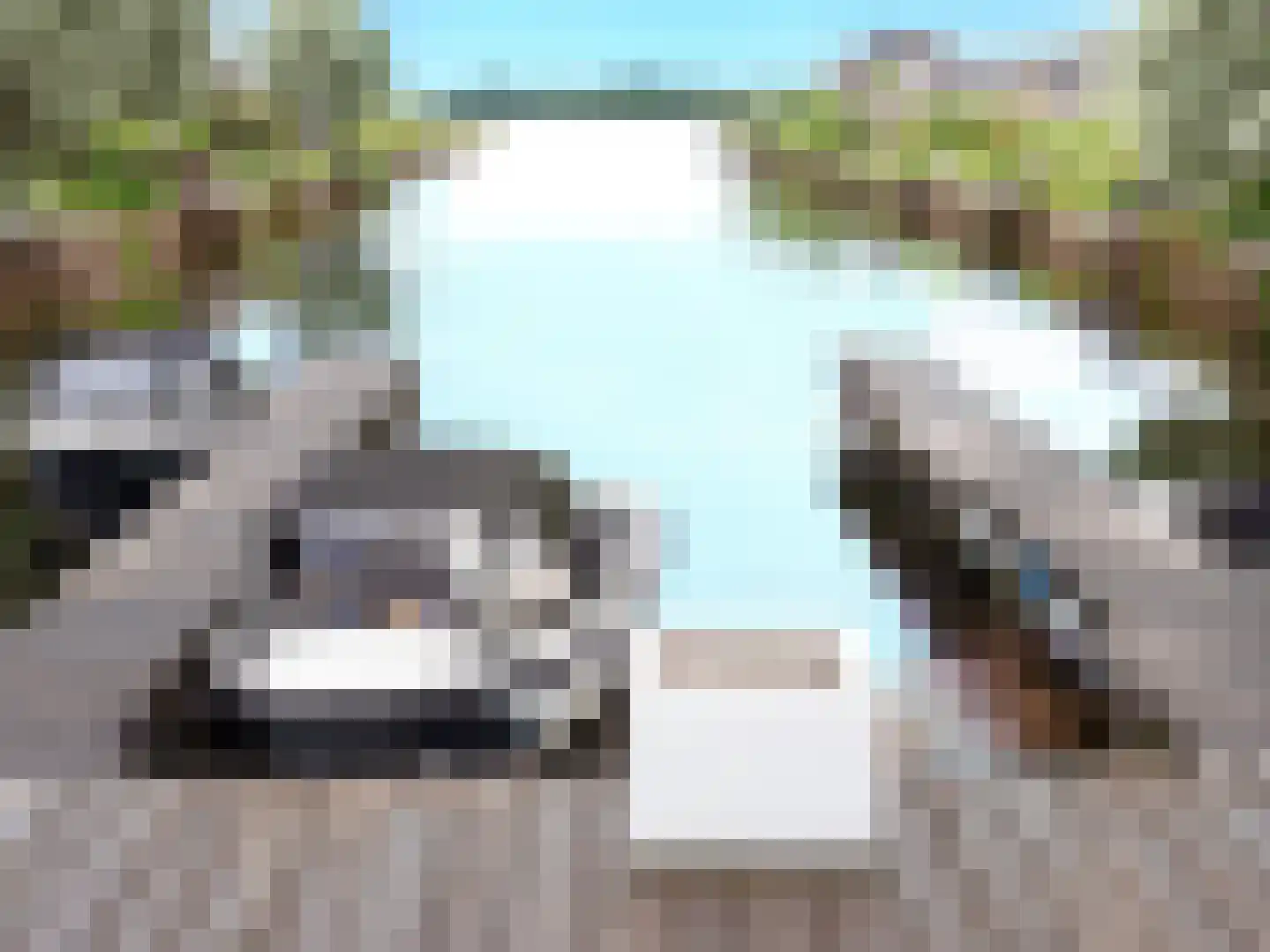 Den Drul 19 Linden thumbnail 24