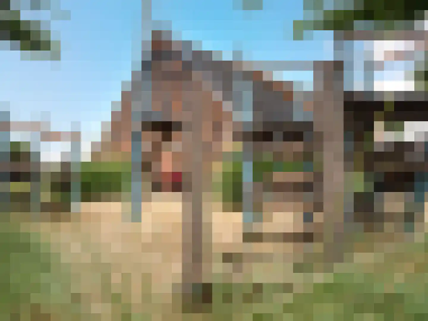 Den Drul 19 Linden thumbnail 25
