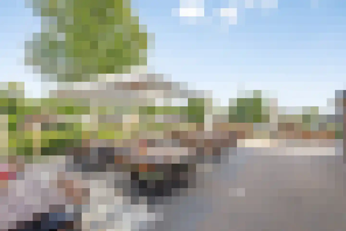 Den Drul 19 r 1 Linden thumbnail 24