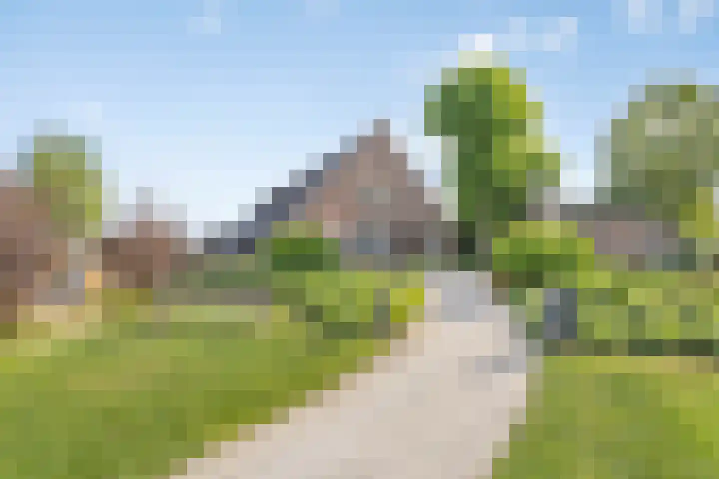 Den Drul 19 r 1 Linden thumbnail 27