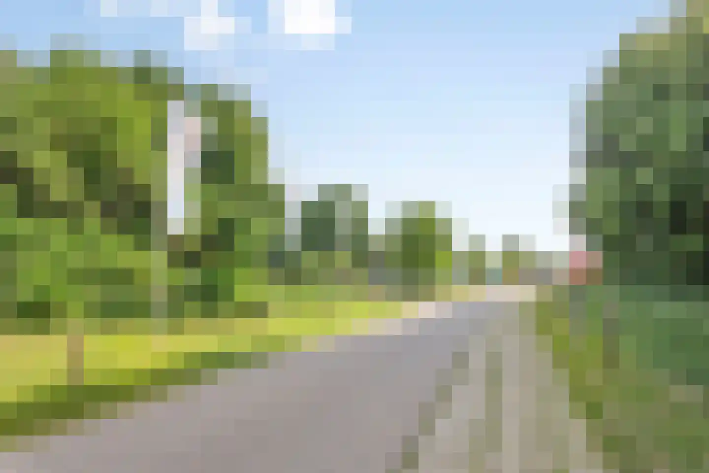 Den Drul 19 r 1 Linden thumbnail 28