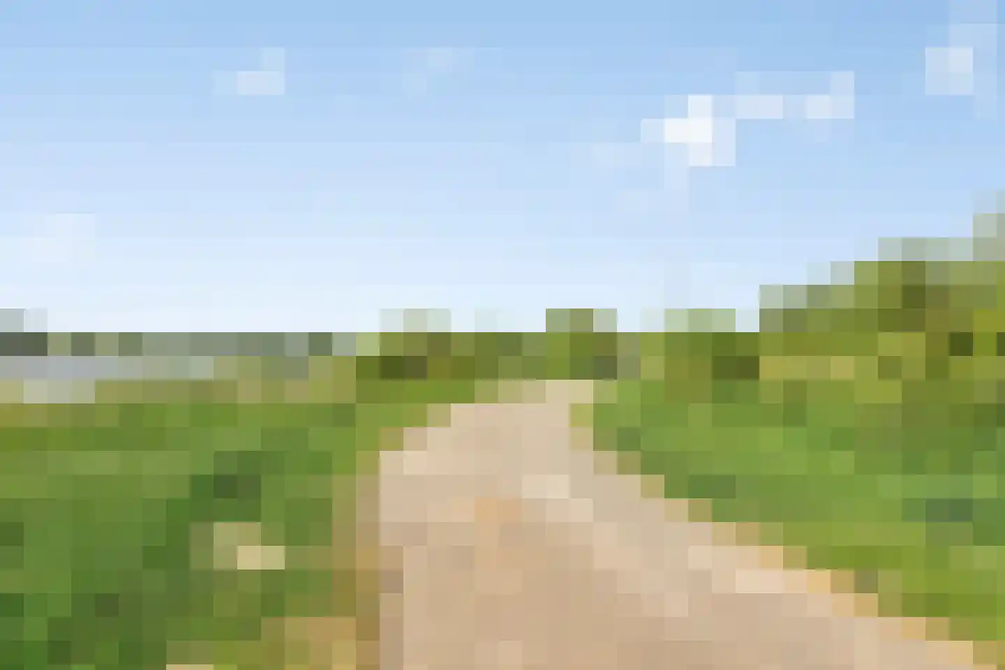 Den Drul 19 r 1 Linden thumbnail 29