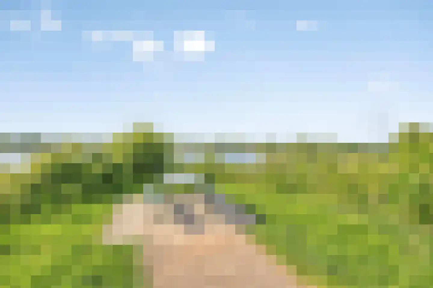 Den Drul 19 r 1 Linden thumbnail 30
