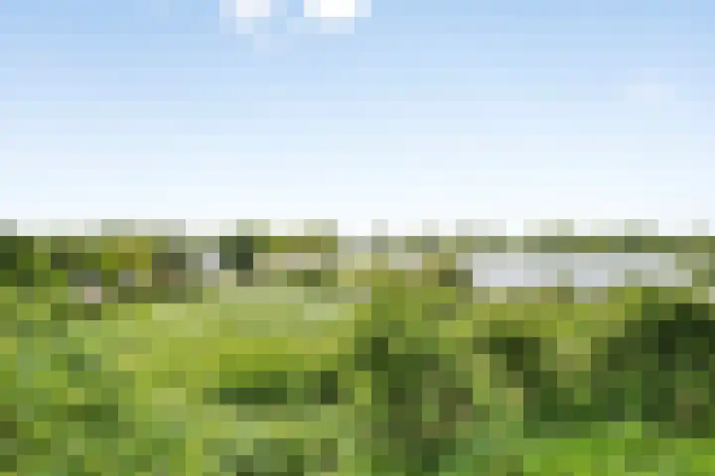 Den Drul 19 r 1 Linden thumbnail 31