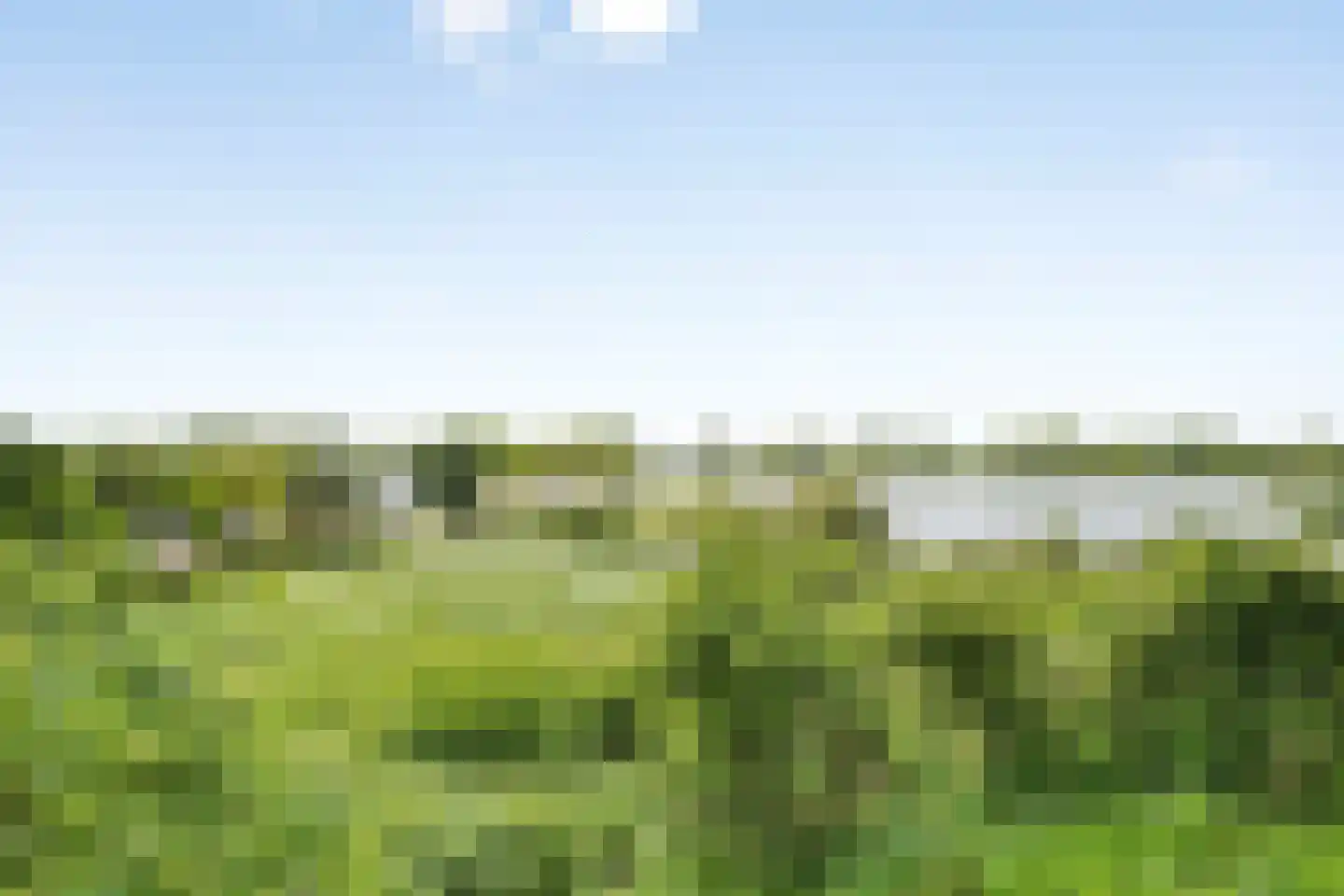 Den Drul 19 r 1 Linden thumbnail 31