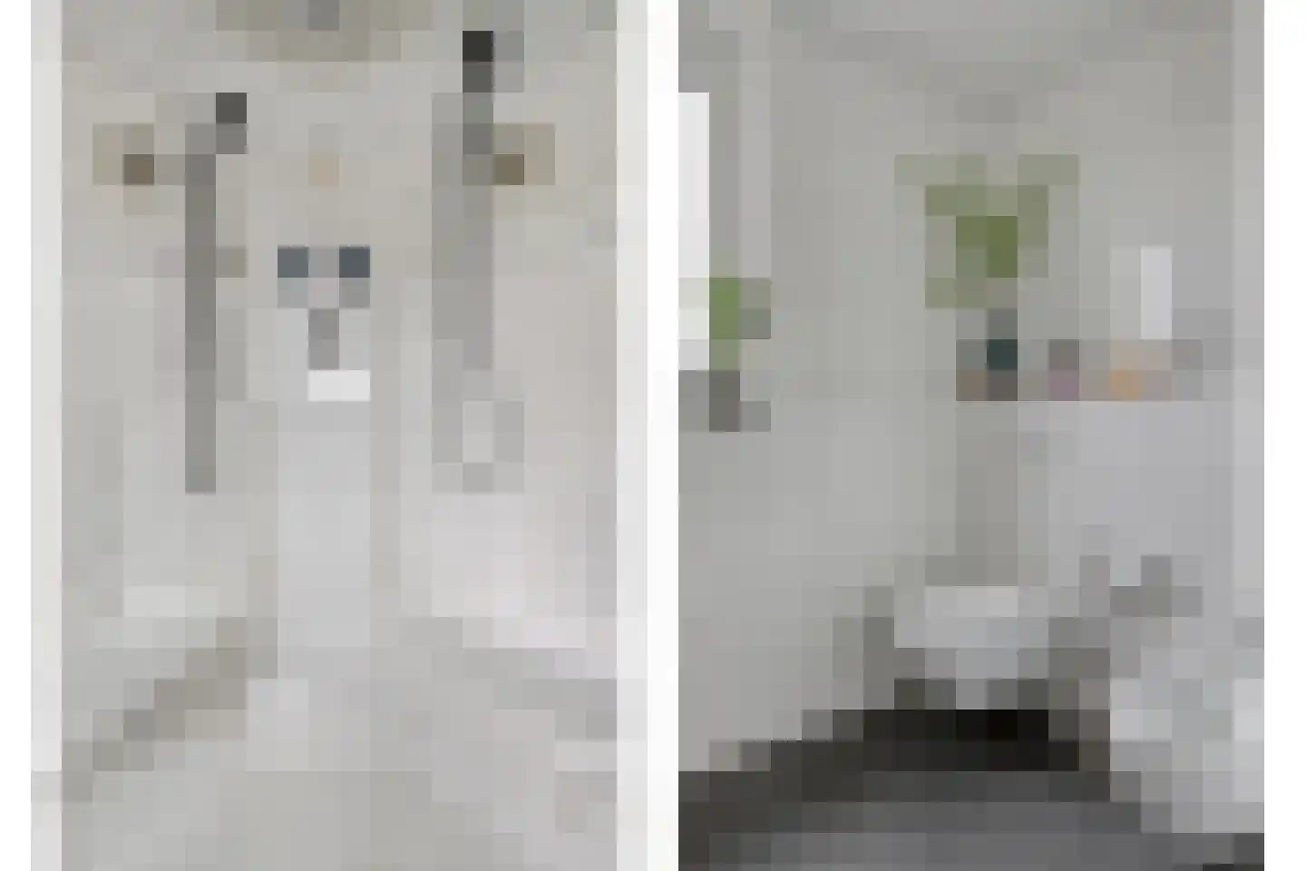 Den Drul 19 r 116 Linden thumbnail 21