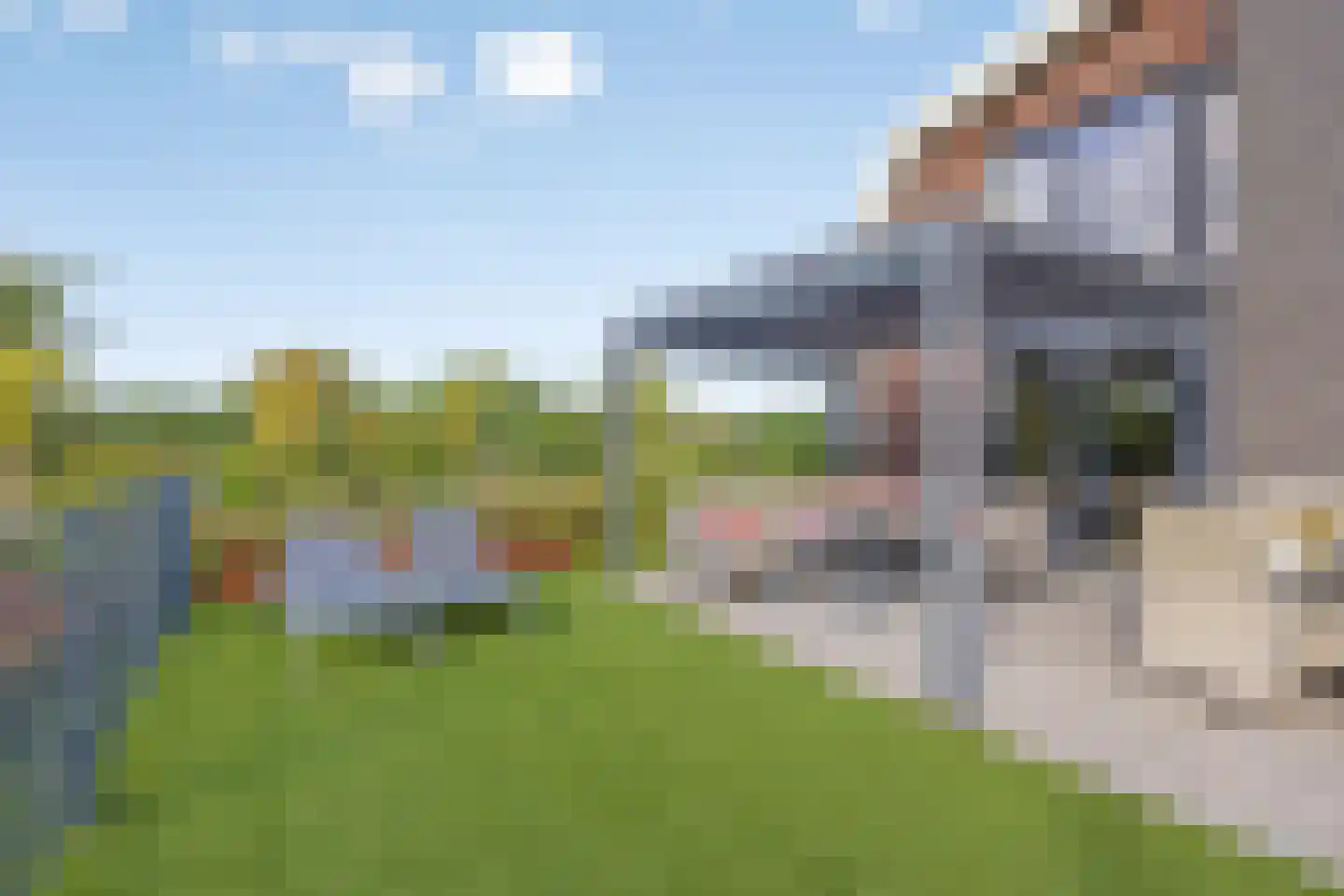 Den Drul 19 r 116 Linden thumbnail 40