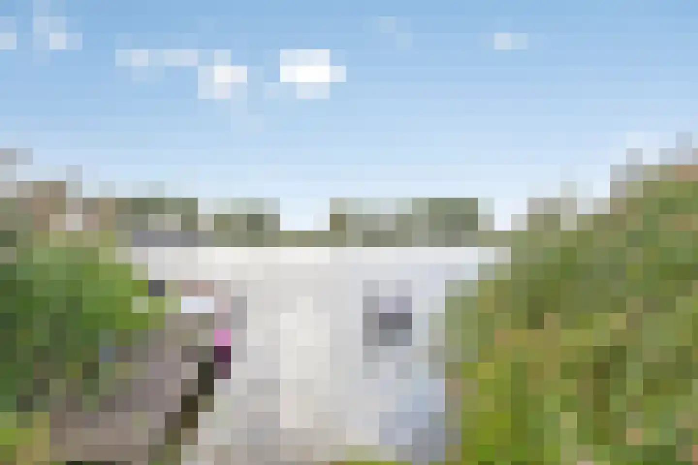 Den Drul 19 r 116 Linden thumbnail 43