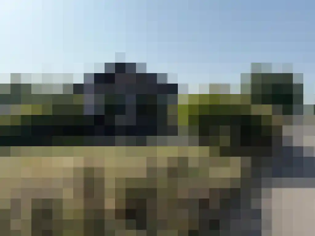 Den Drul 19 r 3 Linden thumbnail 5