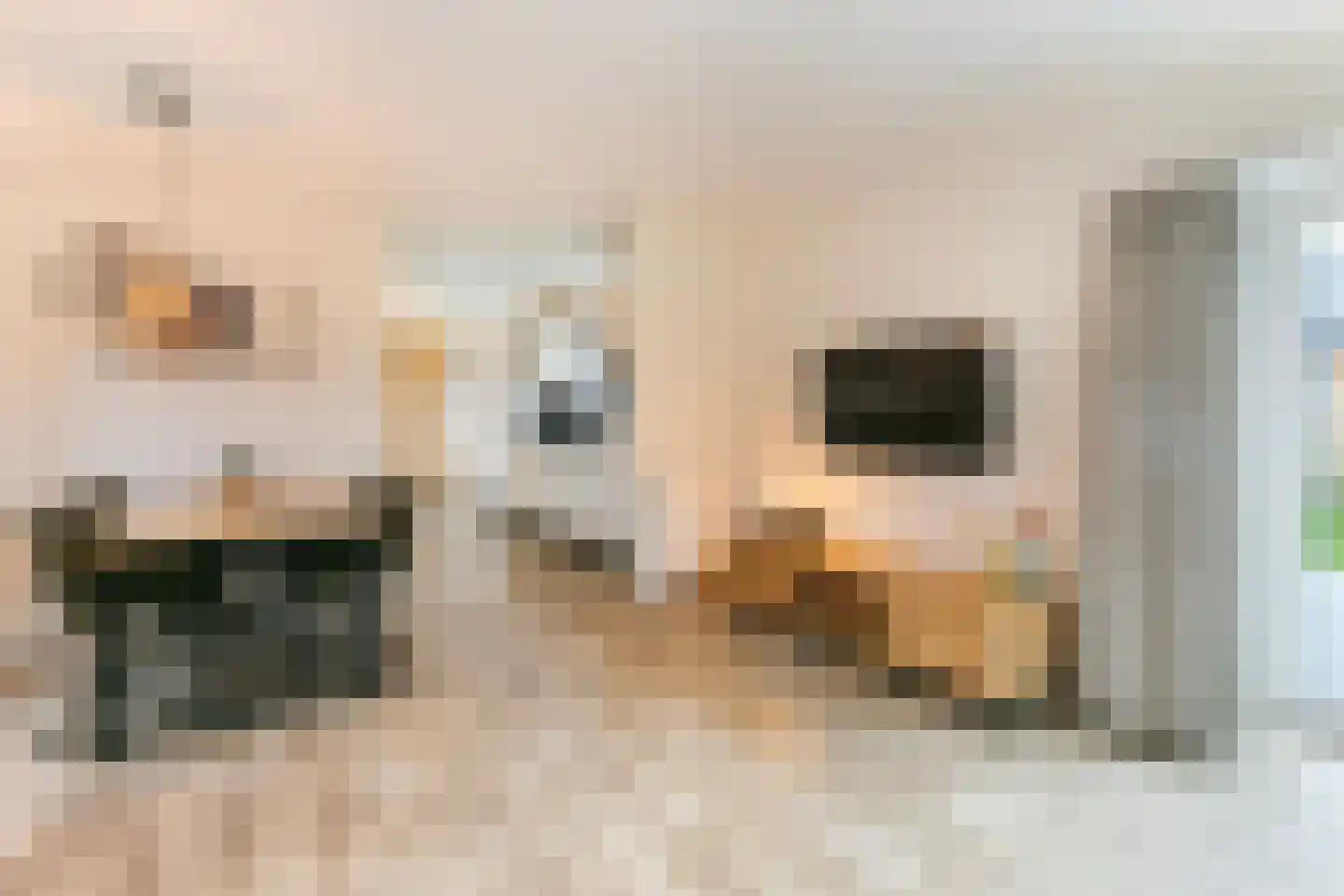 Den Drul 19 r 4 Linden thumbnail 15