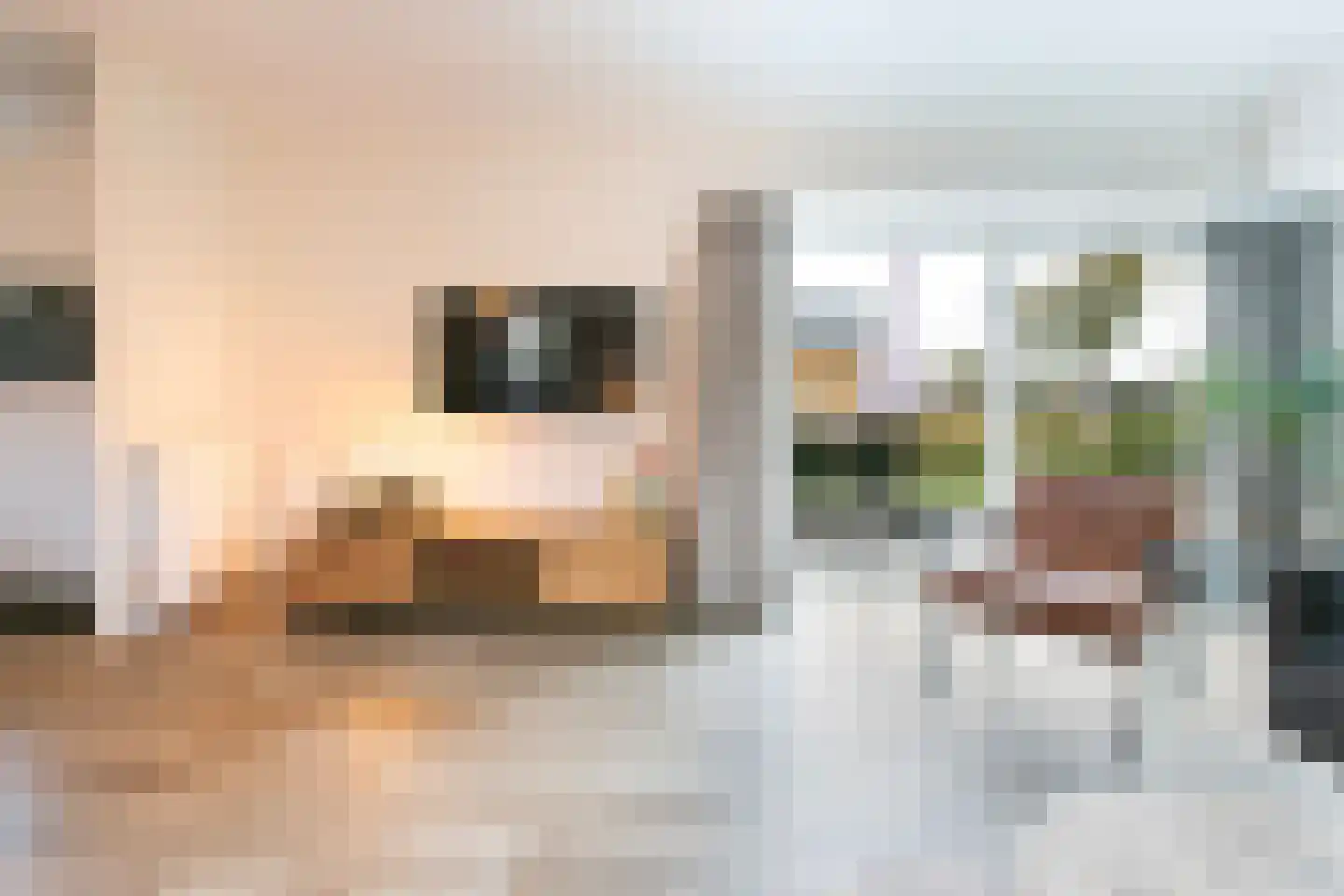Den Drul 19 r 4 Linden thumbnail 16