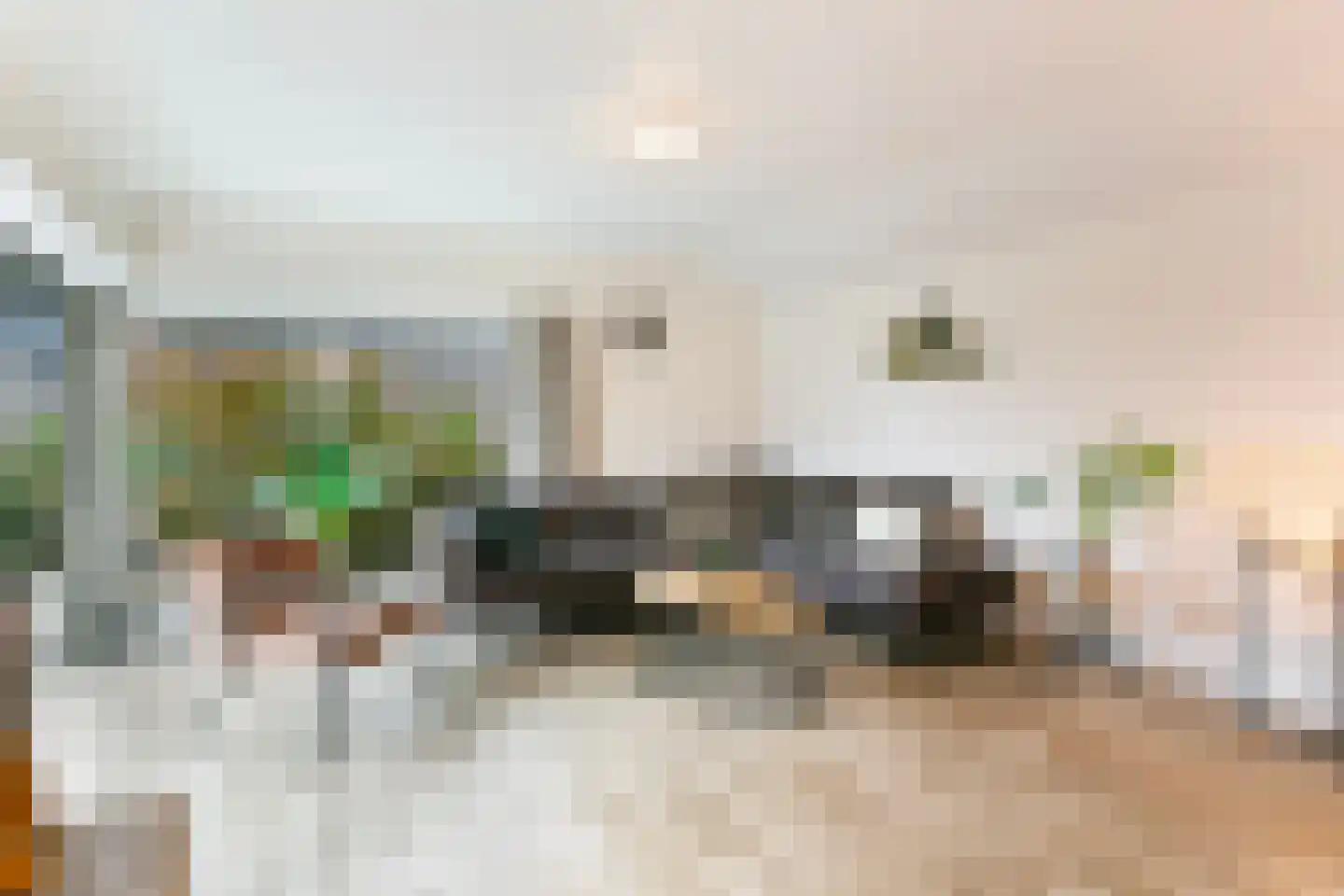 Den Drul 19 r 4 Linden thumbnail 17