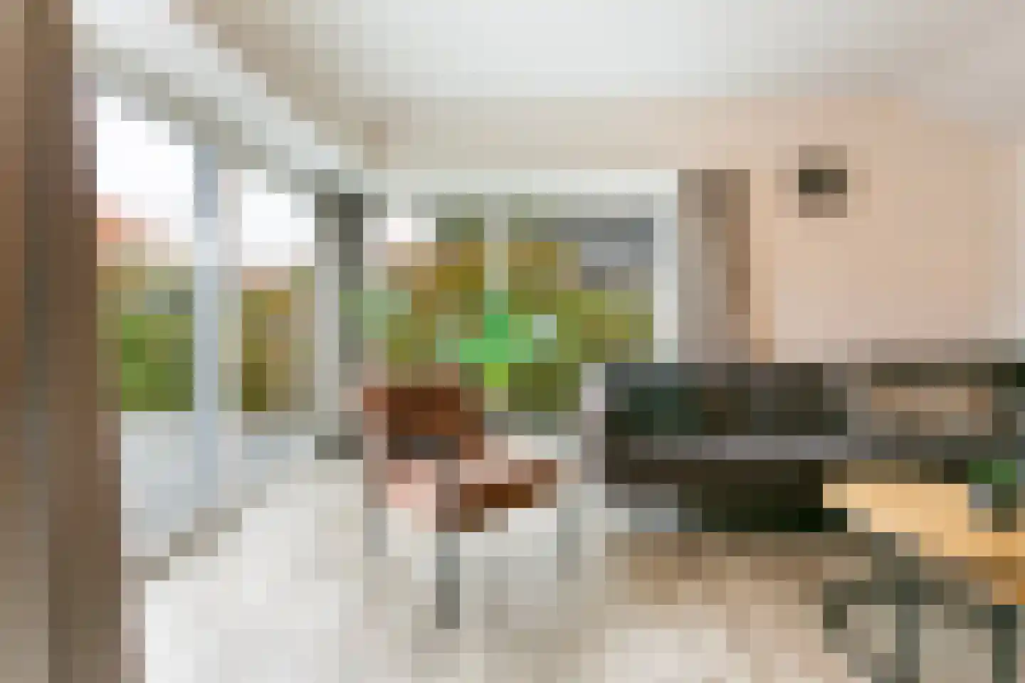 Den Drul 19 r 4 Linden thumbnail 22