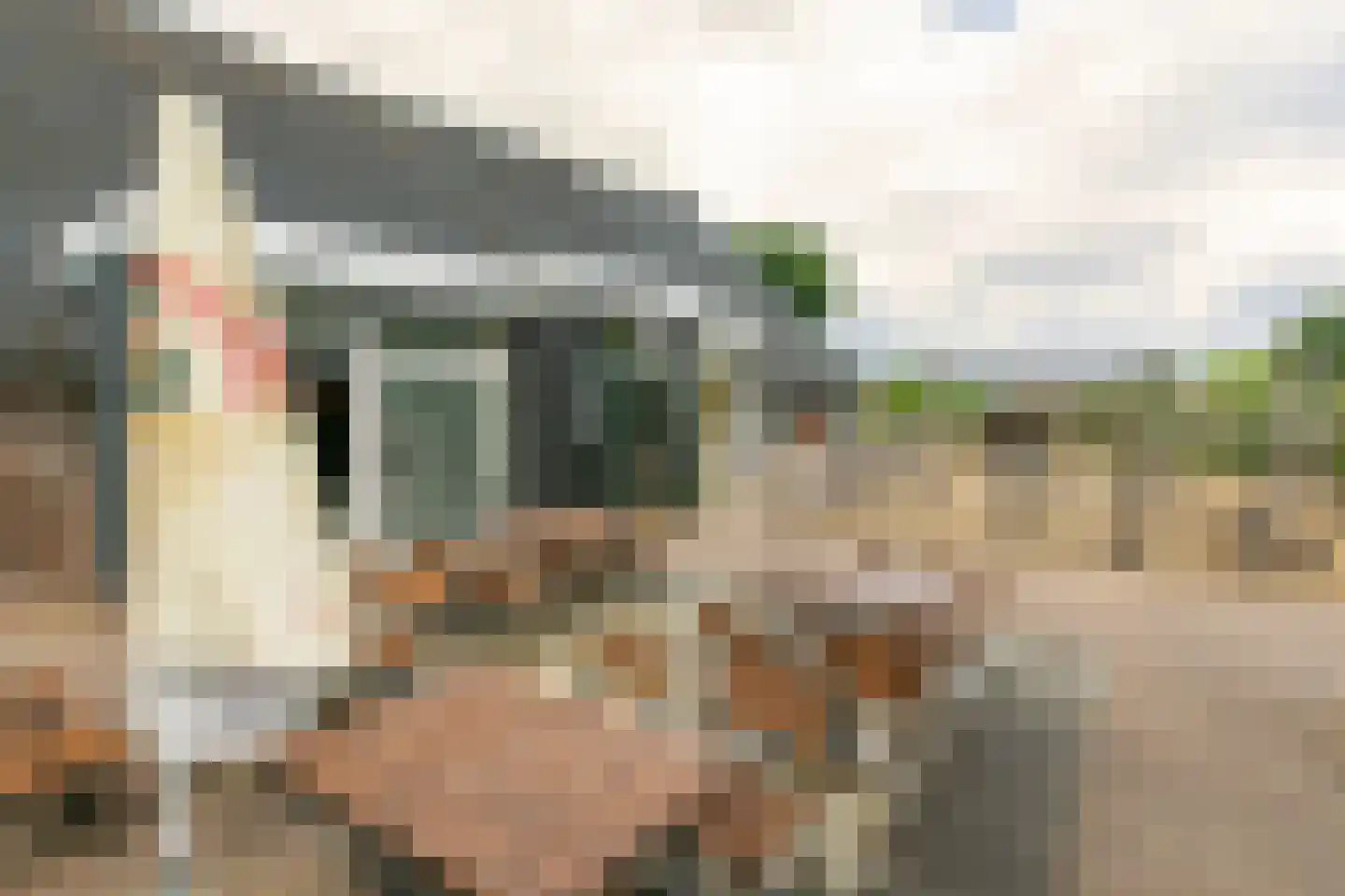 Den Drul 19 r 4 Linden thumbnail 24