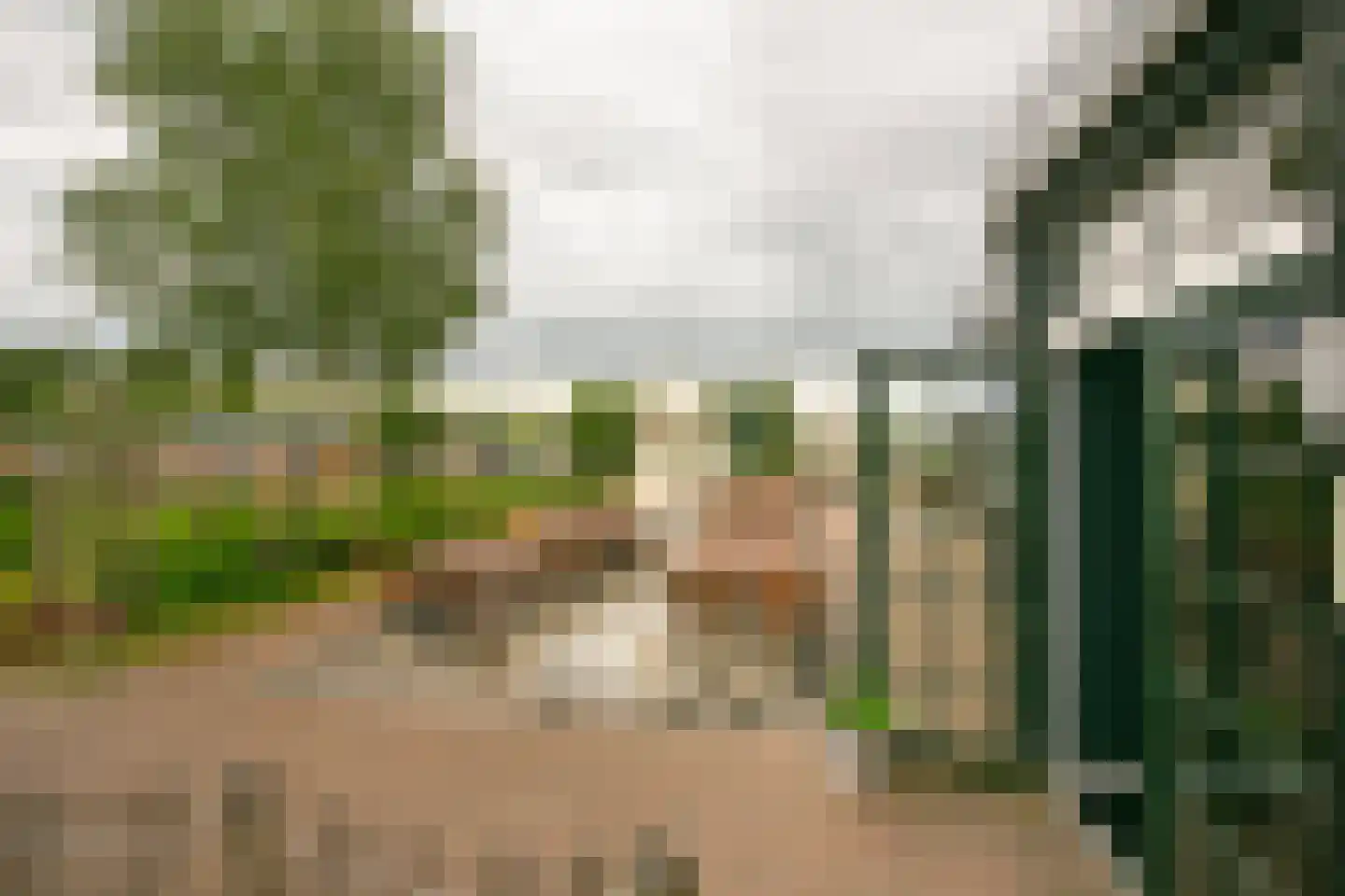 Den Drul 19 r 4 Linden thumbnail 25