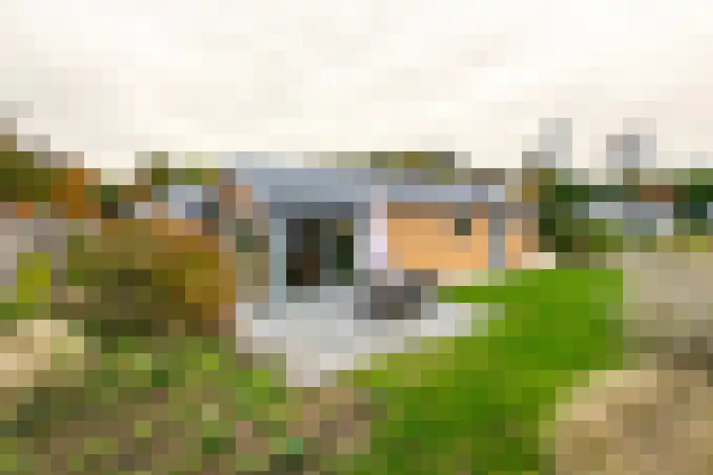 Den Drul 19 r 4 Linden thumbnail 4