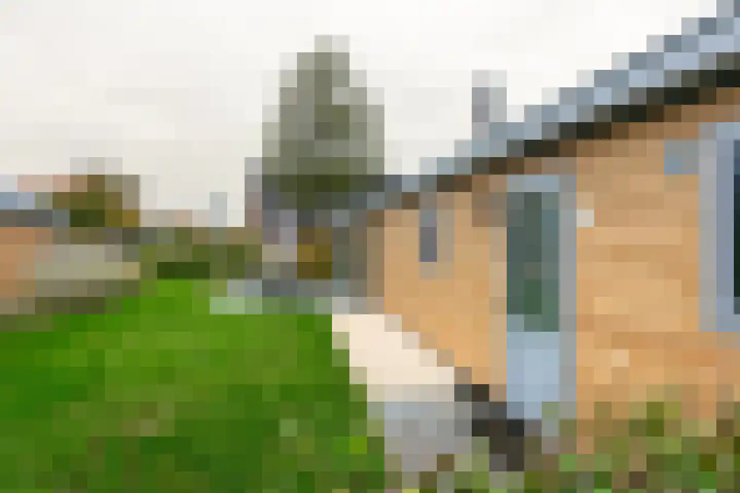 Den Drul 19 r 4 Linden thumbnail 6