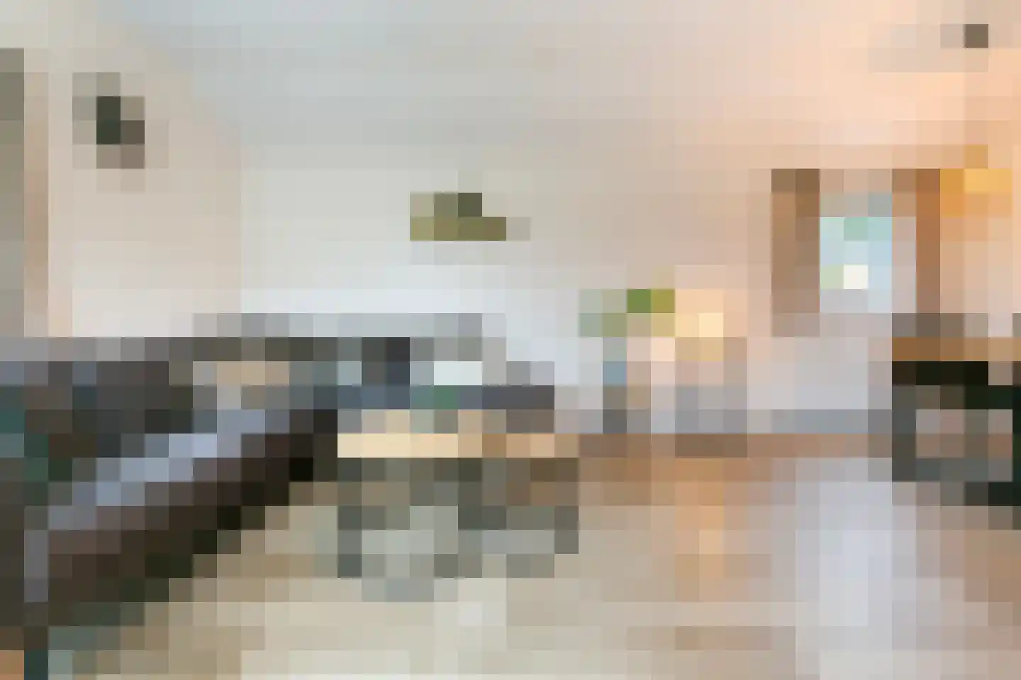 Den Drul 19 r 4 Linden thumbnail 8