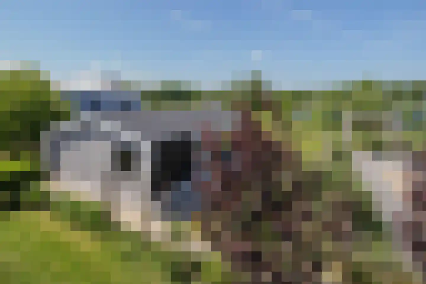 Den Drul 19 r 96 Linden thumbnail 17