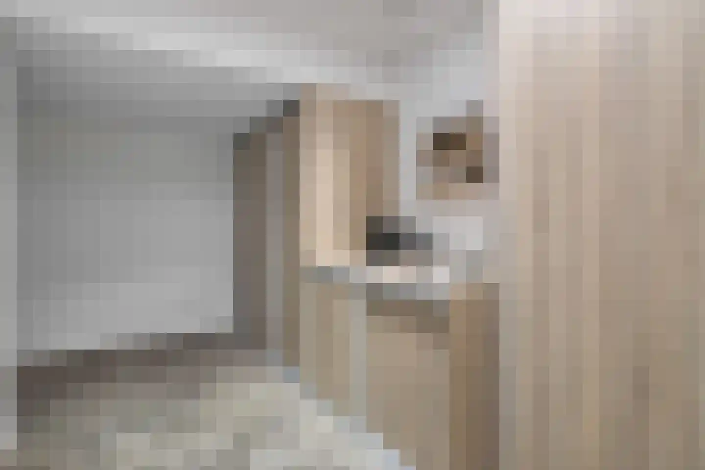 Den Eckelcamp 36 Meijel thumbnail 17
