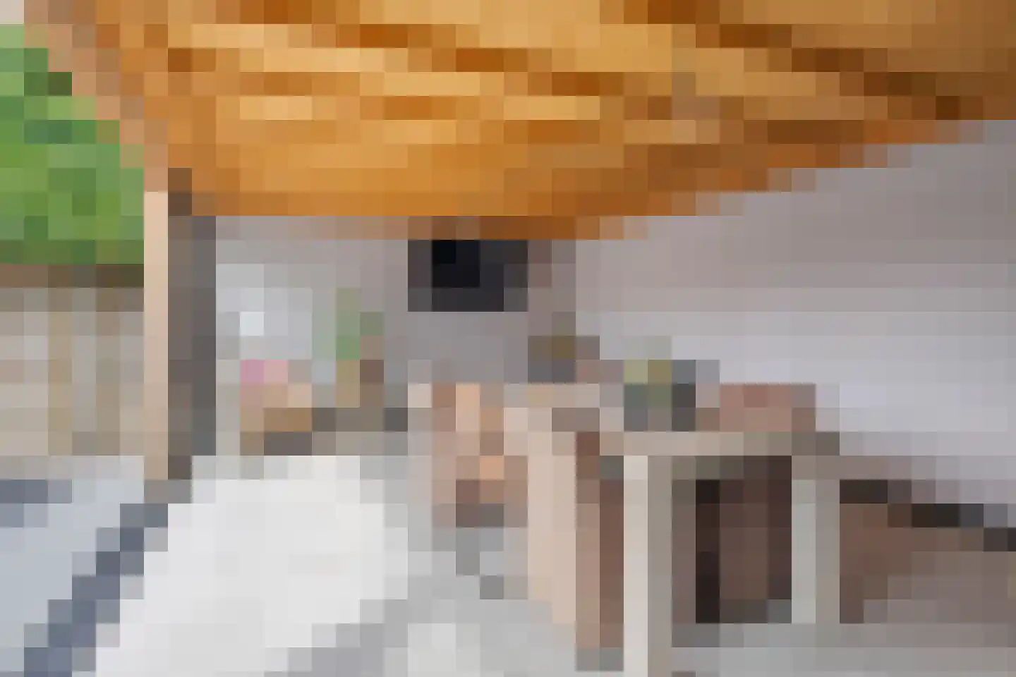 Den Eckelcamp 36 Meijel thumbnail 30