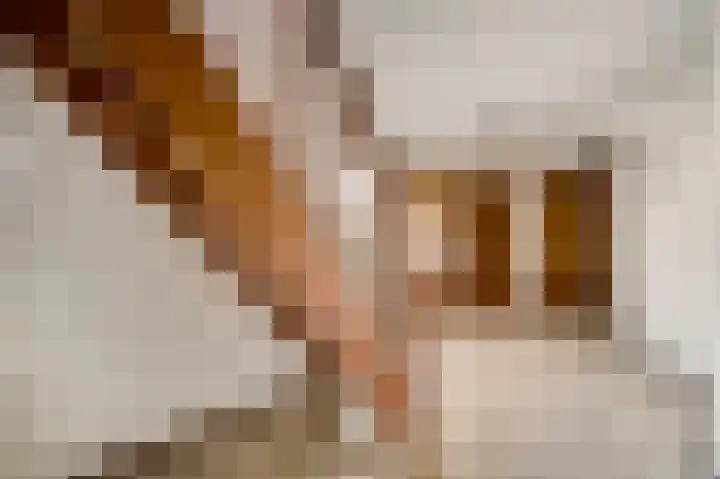 Den Eigen 1 a Sevenum thumbnail 12