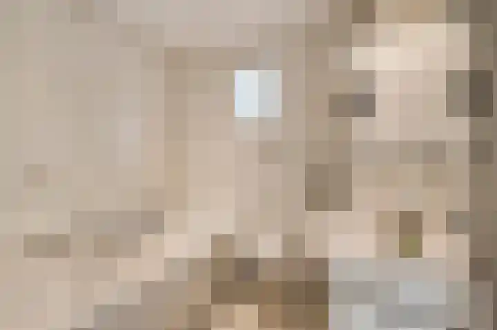 Den Eigen 1 a Sevenum thumbnail 18