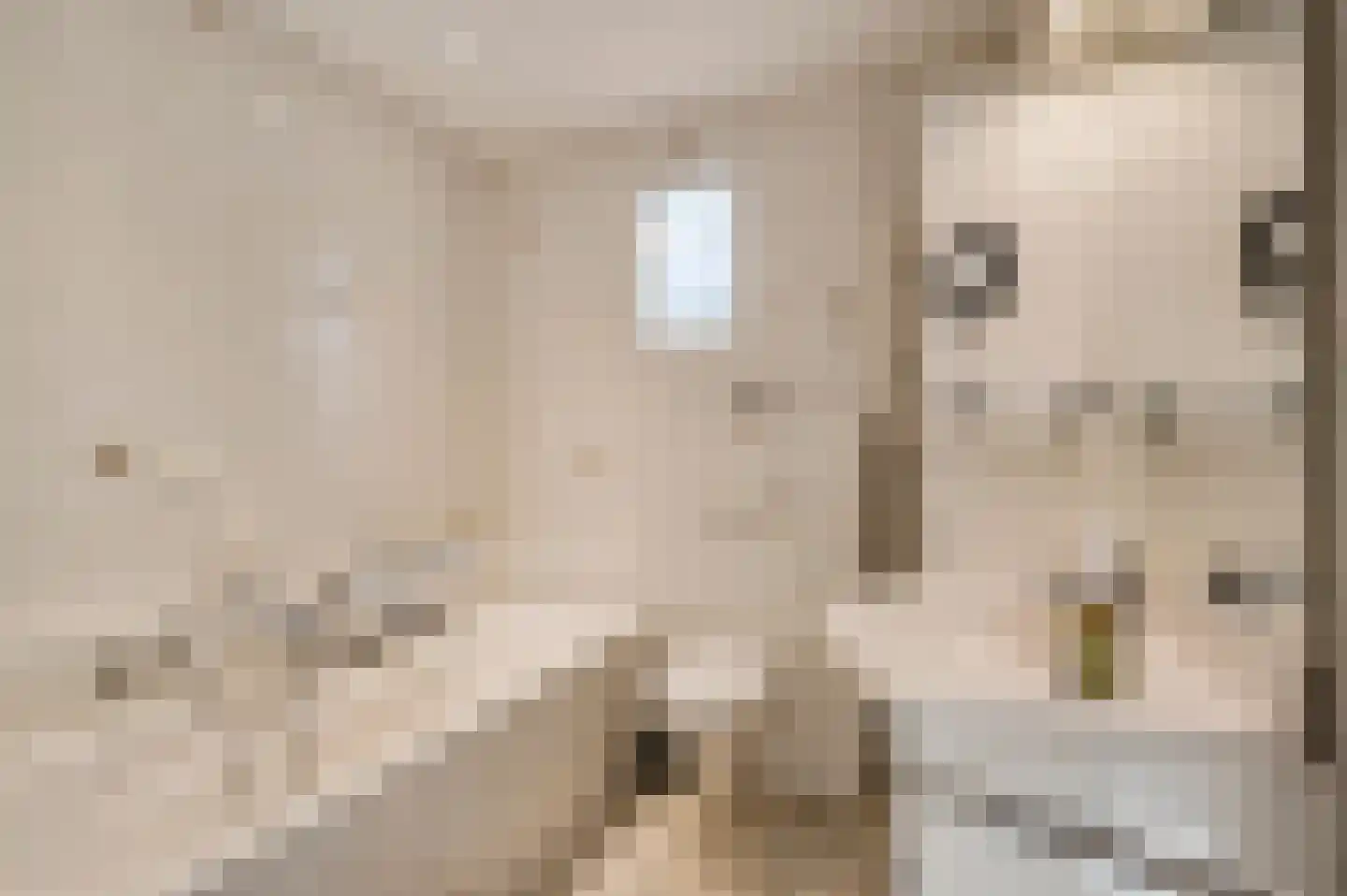 Den Eigen 1 a Sevenum thumbnail 18