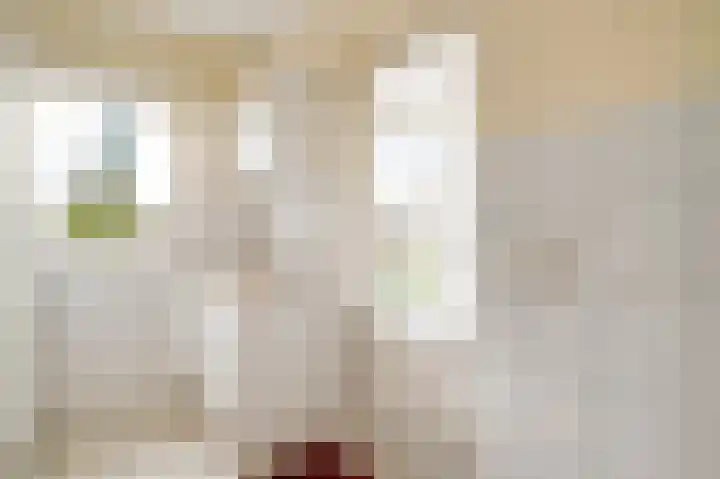 Den Eigen 1 a Sevenum thumbnail 22