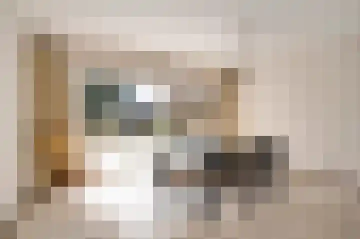 Den Eigen 1 a Sevenum thumbnail 25